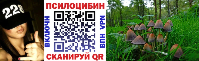 ссылка на мегу рабочий сайт  Мамоново  Псилоцибиновые грибы мицелий 
